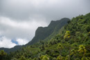 3L9A6229.jpg [Polynesie]Iles sous le vent - Raiatea - Copyright : See Otherwise 2012 - 2022