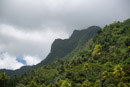 3L9A6229.jpg Iles sous le vent - Raiatea - Copyright : See Otherwise 2012 - 2023