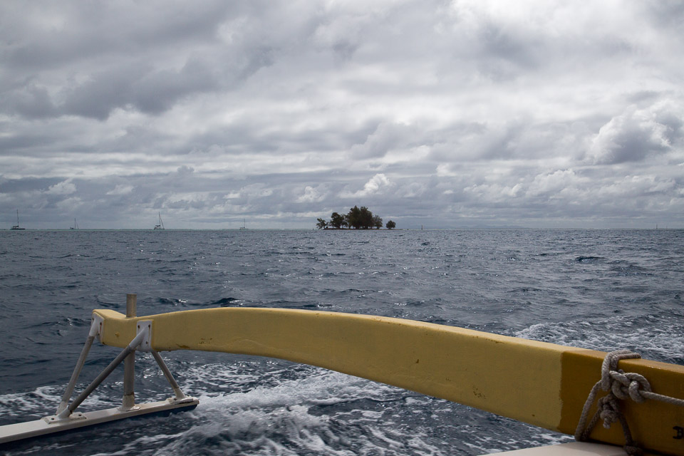 3L9A5353.jpg Iles sous le vent - Tahaa - Copyright : See Otherwise 2012 - 2025