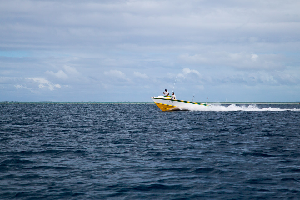 3L9A5355.jpg Iles sous le vent - Tahaa - Copyright : See Otherwise 2012 - 2025