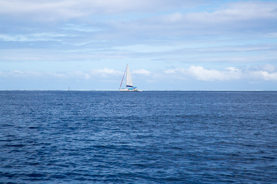 3L9A5372.jpg Iles sous le vent - Tahaa - Copyright : See Otherwise 2012 - 2025