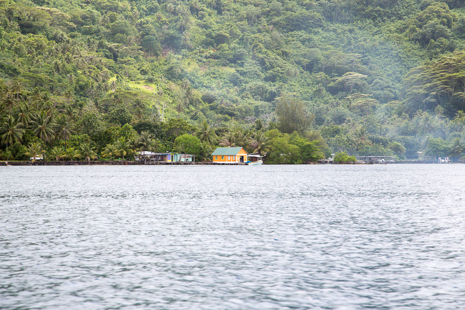 3L9A5376.jpg Iles sous le vent - Tahaa - Copyright : See Otherwise 2012 - 2025