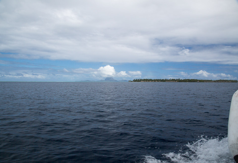 3L9A5389.jpg Iles sous le vent - Tahaa - Copyright : See Otherwise 2012 - 2025