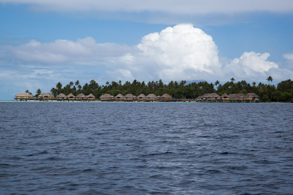 3L9A5393.jpg Iles sous le vent - Tahaa - Copyright : See Otherwise 2012 - 2025