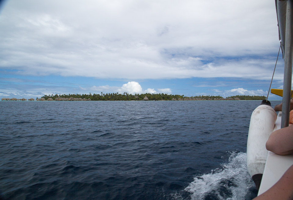 3L9A5396.jpg Iles sous le vent - Tahaa - Copyright : See Otherwise 2012 - 2024