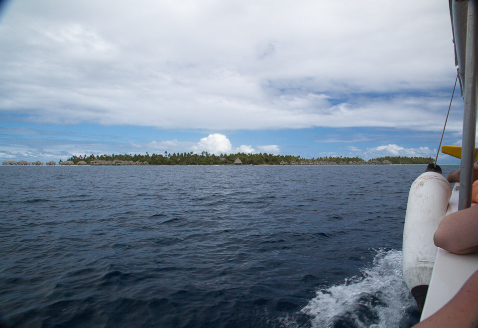 3L9A5396.jpg Iles sous le vent - Tahaa - Copyright : See Otherwise 2012 - 2025