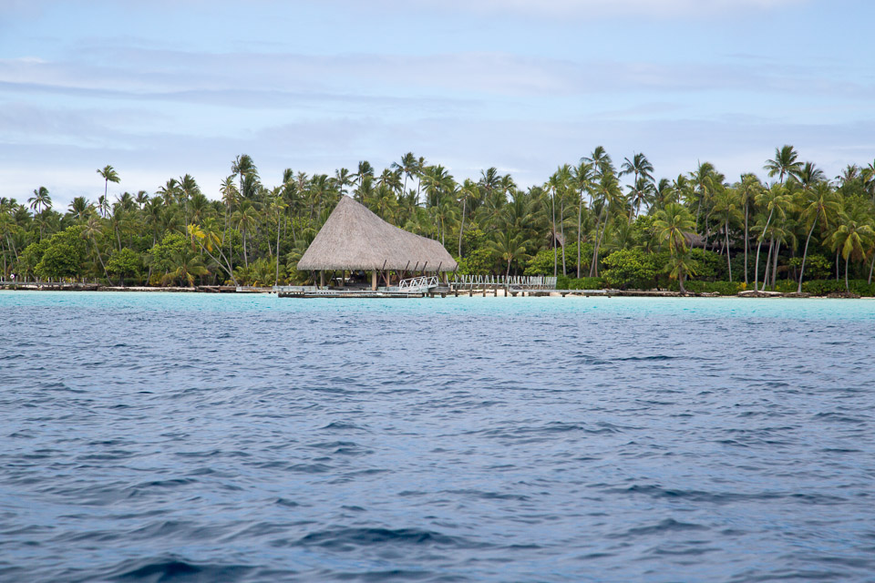 3L9A5400.jpg Iles sous le vent - Tahaa - Copyright : See Otherwise 2012 - 2025