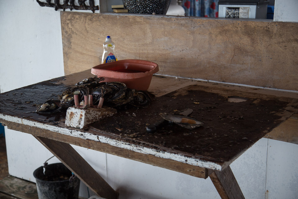 3L9A5426.jpg Iles sous le vent - Tahaa - Copyright : See Otherwise 2012 - 2025