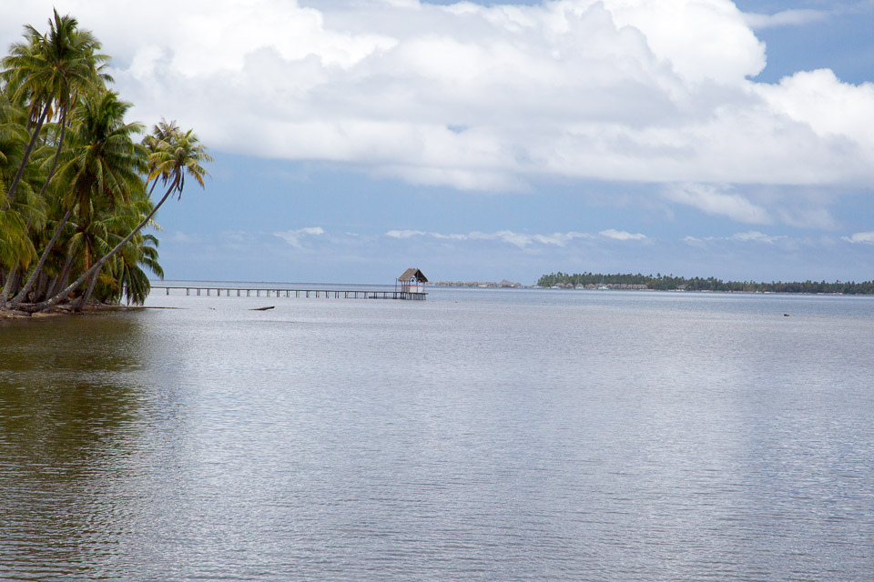 3L9A5459.jpg Iles sous le vent - Tahaa - Copyright : See Otherwise 2012 - 2025