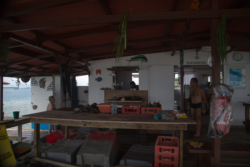 3L9A5468.jpg Iles sous le vent - Tahaa - Copyright : See Otherwise 2012 - 2025