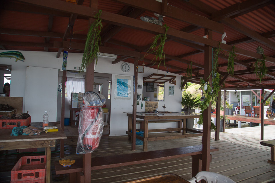 3L9A5469.jpg Iles sous le vent - Tahaa - Copyright : See Otherwise 2012 - 2025