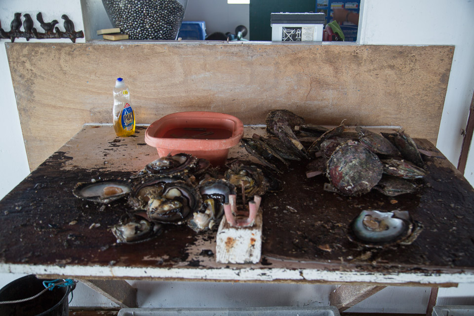3L9A5472.jpg Iles sous le vent - Tahaa - Copyright : See Otherwise 2012 - 2025