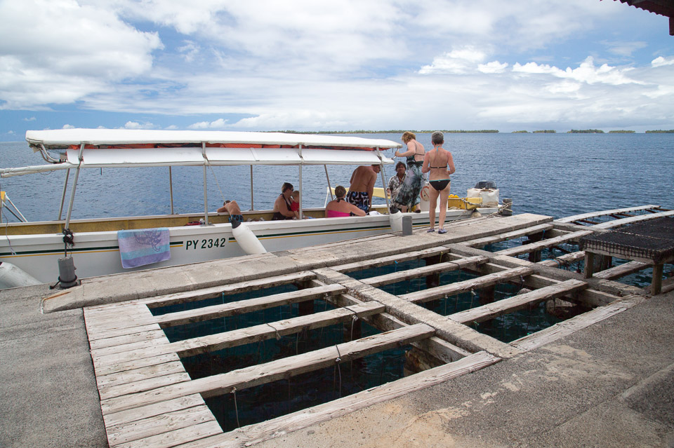 3L9A5474.jpg Iles sous le vent - Tahaa - Copyright : See Otherwise 2012 - 2025