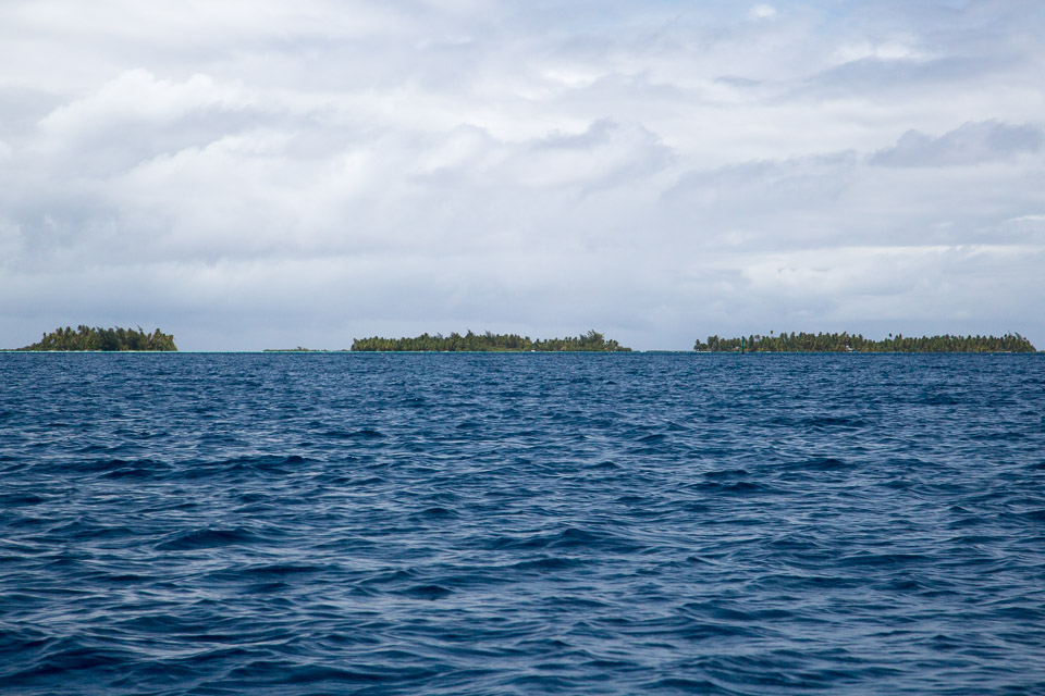 3L9A5497.jpg Iles sous le vent - Tahaa - Copyright : See Otherwise 2012 - 2024