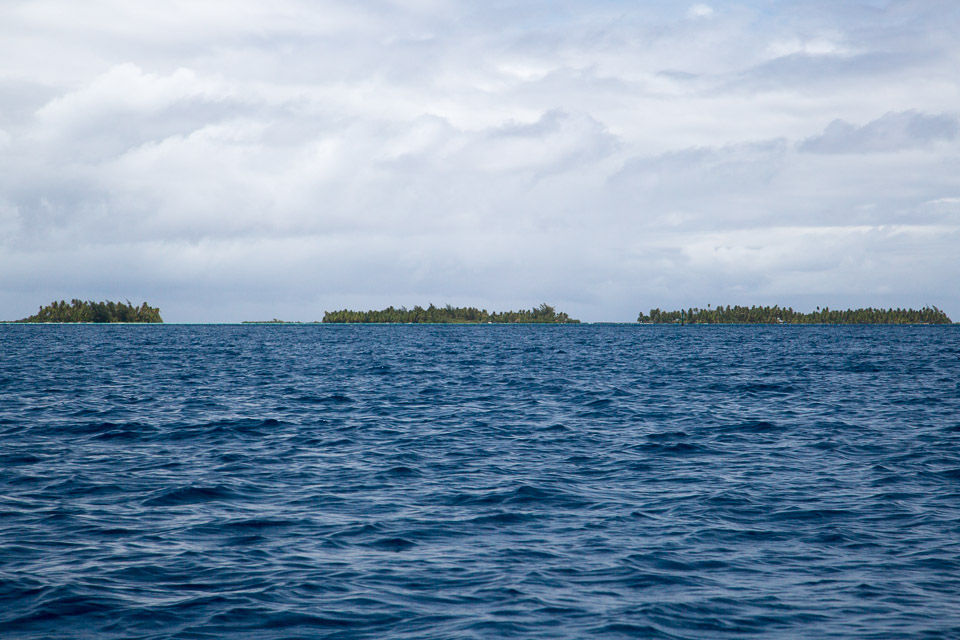 3L9A5497.jpg Iles sous le vent - Tahaa - Copyright : See Otherwise 2012 - 2025