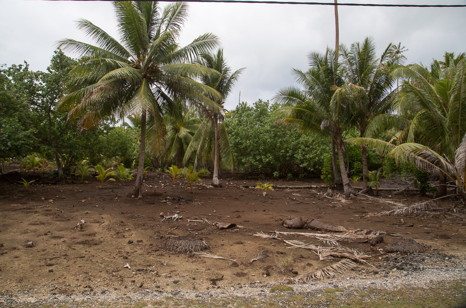 3L9A5520.jpg Iles sous le vent - Tahaa - Copyright : See Otherwise 2012 - 2025