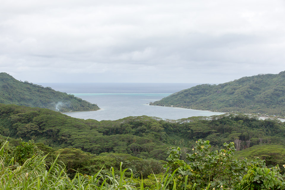 3L9A5543.jpg Iles sous le vent - Tahaa - Copyright : See Otherwise 2012 - 2025