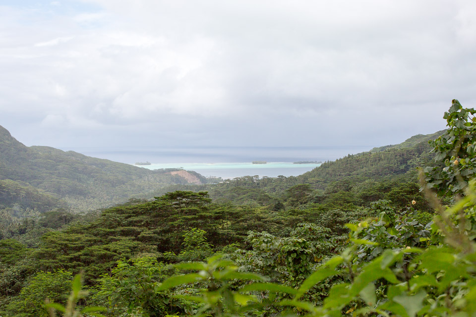 3L9A5587.jpg Iles sous le vent - Tahaa - Copyright : See Otherwise 2012 - 2025