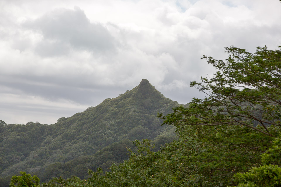 3L9A5632.jpg Iles sous le vent - Tahaa - Copyright : See Otherwise 2012 - 2025