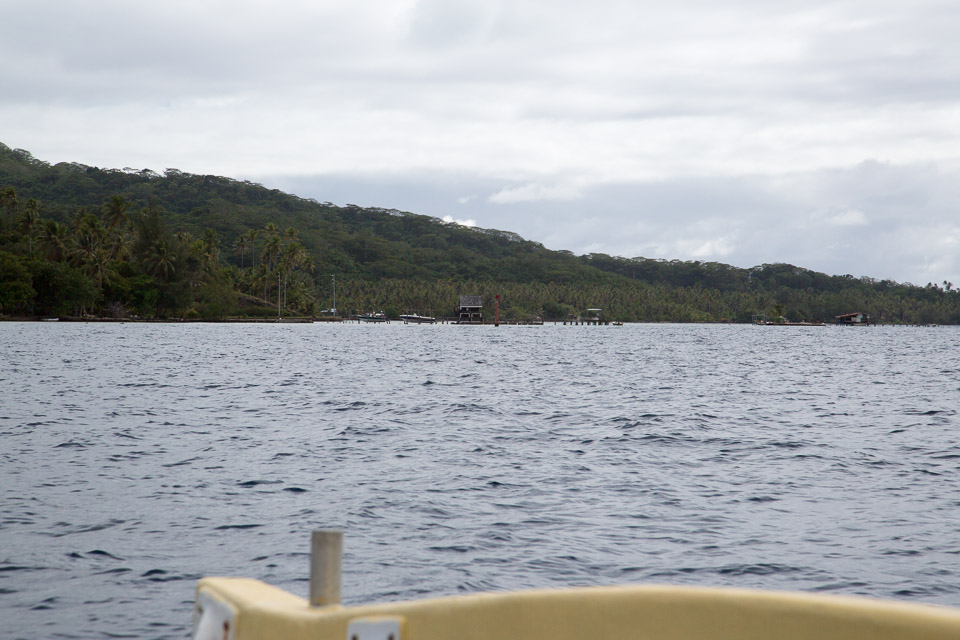 3L9A5362.jpg Iles sous le vent - Tahaa - Copyright : See Otherwise 2012 - 2025