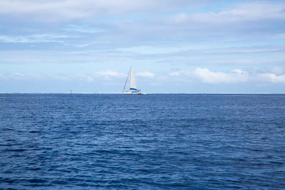 3L9A5372.jpg Iles sous le vent - Tahaa - Copyright : See Otherwise 2012 - 2025