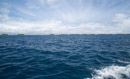 3L9A5494.jpg [Polynesie]Iles sous le vent - Tahaa - Copyright : See Otherwise 2012 - 2022