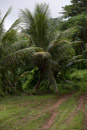 Iles sous le vent - Tahaa - Copyright : See Otherwise 2012 - 2025