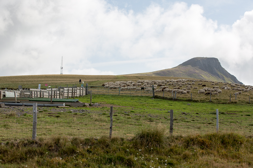 3L9A5345.jpg La Banne d Ordanche - Copyright : See Otherwise 2012 - 2025
