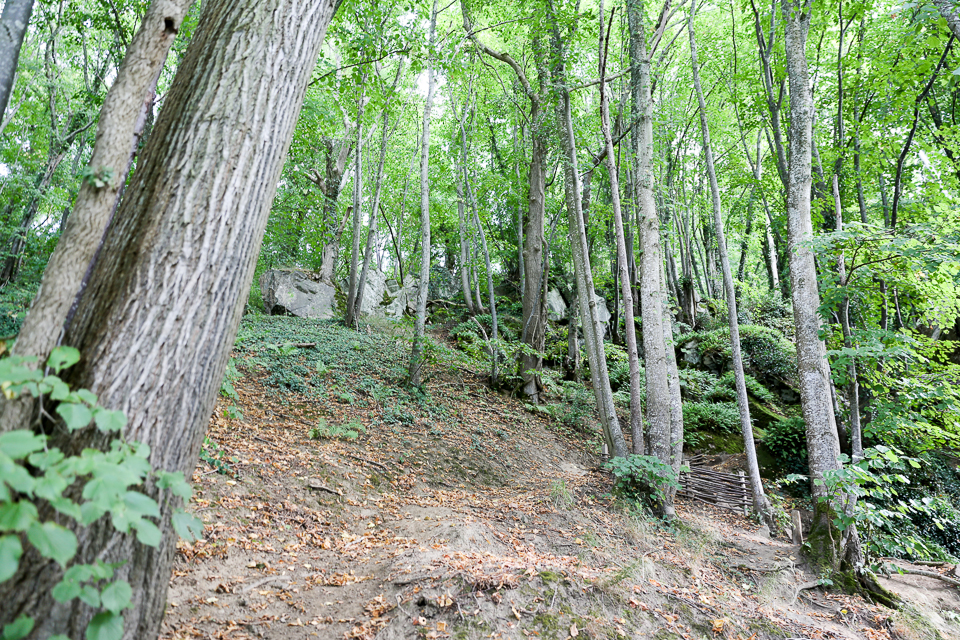 3L9A4283.jpg Le Gour de Tazenat - Copyright : See Otherwise 2012 - 2025