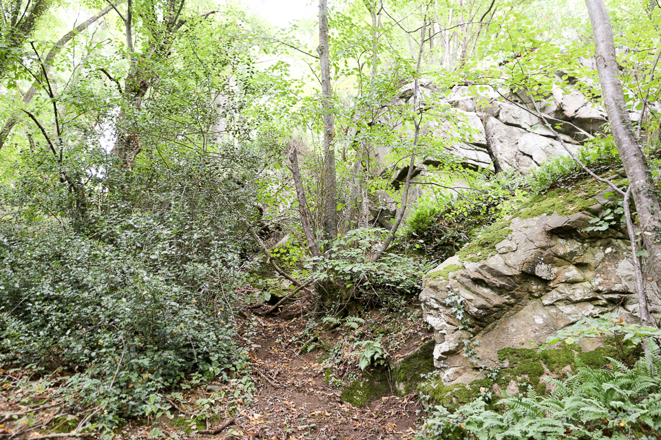 3L9A4291.jpg Le Gour de Tazenat - Copyright : See Otherwise 2012 - 2025