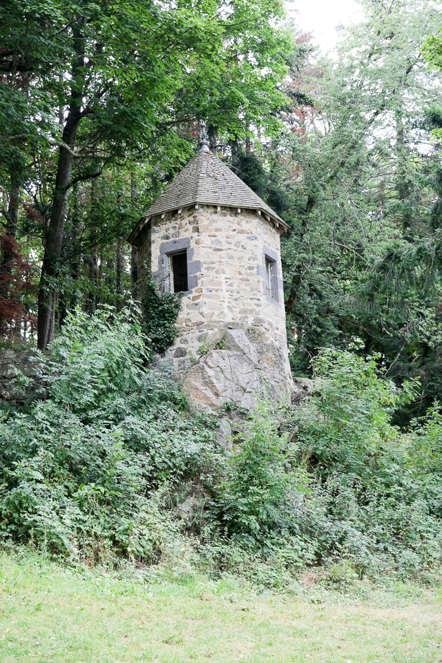3L9A4295.jpg Le Gour de Tazenat - Copyright : See Otherwise 2012 - 2025