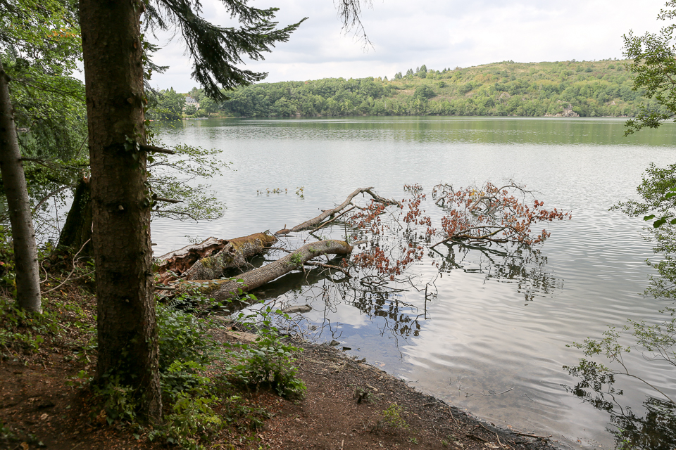 3L9A4297.jpg Le Gour de Tazenat - Copyright : See Otherwise 2012 - 2025