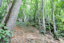 3L9A4283.jpg Le Gour de Tazenat - Copyright : See Otherwise 2012 - 2023