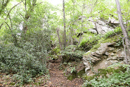 3L9A4291.jpg Le Gour de Tazenat - Copyright : See Otherwise 2012 - 2023
