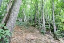 3L9A4283.jpg Le Gour de Tazenat - Copyright : See Otherwise 2012 - 2025