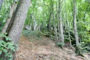 3L9A4283.jpg Le Gour de Tazenat - Copyright : See Otherwise 2012 - 2025