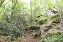 3L9A4291.jpg Le Gour de Tazenat - Copyright : See Otherwise 2012 - 2025
