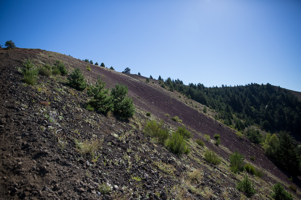 3L9A5530.jpg Le Puy de Lassolas - Copyright : See Otherwise 2012 - 2025