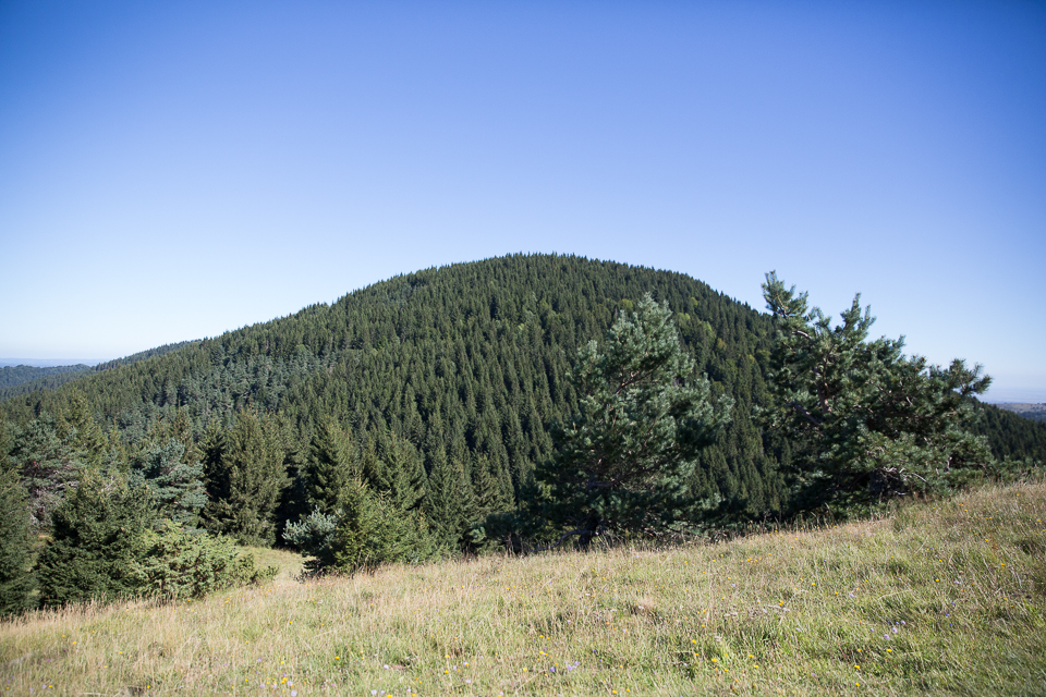 3L9A5557.jpg Le Puy de Lassolas - Copyright : See Otherwise 2012 - 2025