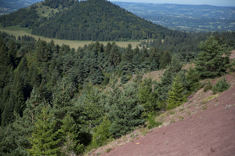 3L9A5571.jpg Le Puy de Lassolas - Copyright : See Otherwise 2012 - 2025
