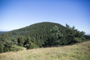 3L9A5557.jpg Le Puy de Lassolas - Copyright : See Otherwise 2012 - 2023