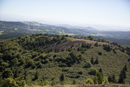 3L9A5579.jpg Le Puy de Lassolas - Copyright : See Otherwise 2012 - 2023