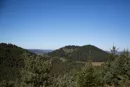 3L9A5522.jpg Le Puy de Lassolas - Copyright : See Otherwise 2012 - 2025