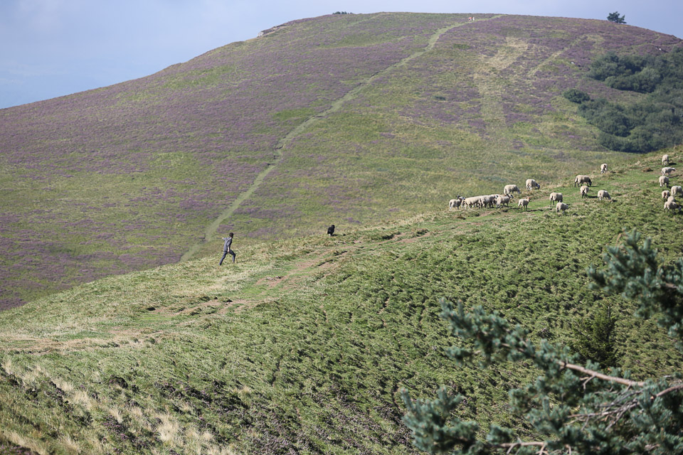 3L9A4427.jpg Le Puy de Pariou - Copyright : See Otherwise 2012 - 2025