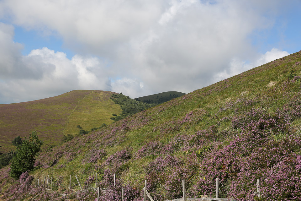 3L9A4469.jpg Le Puy de Pariou - Copyright : See Otherwise 2012 - 2025