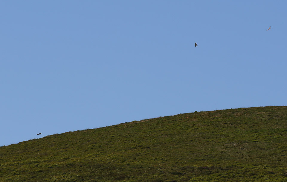 3L9A4718.jpg Le Puy de Pariou - Copyright : See Otherwise 2012 - 2025