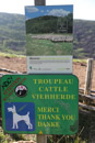 3L9A4341.jpg Le Puy de Pariou - Copyright : See Otherwise 2012 - 2023