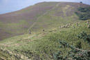 Le Puy de Pariou - Copyright : See Otherwise 2012 - 2025
