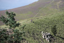 3L9A4432.jpg Le Puy de Pariou - Copyright : See Otherwise 2012 - 2023
