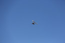 Le Puy de Pariou - Copyright : See Otherwise 2012 - 2025